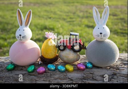 Two souvenir Easter bunnies, toy model of a tractor standing on painted egg, with many multicolored chocolate eggs nearby. Concept for commercial East Stock Photo