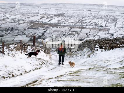 Walking with dogs on Kisdon Hill in a snow-covered Swaledale above the village of Muker, Yorkshire Dales National Park Stock Photo