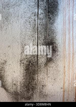 Black Mold on Indoor Wall, Closeup of Damp and Fungal Growth Stock Photo