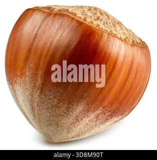 Hazelnut isolated on white background. Hazelnut Clipping Path. Hazelnut fruits. Stock Photo