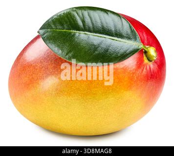 One Mango Clipping Path. Mango isolated on white background Stock Photo