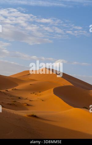 View of Sahara Desert in Morocco, Africa. The Sahara Desert is the world's largest hot desert. Stock Photo