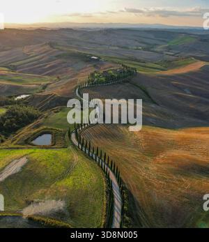 Aerial view of a cypress-lined road winding through rolling hills, casting long shadows under a golden sunset, San Quirico d’Orcia, Tuscany, Italy. Stock Photo