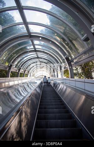 Tall vertical view of a glass-covered escalator tunnel rising through the forest in Japan. Stock Photo