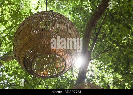 Serene hanging wicker basket lantern decoration shines with natural light in green outdoor forest. view from below looking up at sunny tree canopy Stock Photo