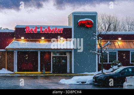 New Hartford, NY - Nov 27, 2025: Night view of Red Lobster building exterior in winter—snowfall, accessible, branded, and ready for new year dine-in Stock Photo