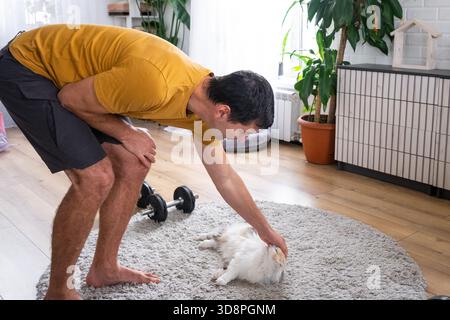 Man play with a domestic cat on the carpet Stock Photo