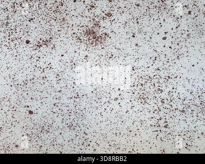 Numerous tiny reddish-brown and dark-colored gravel pieces are scattered across a rough, pale gray or off-white textured background. Stock Photo