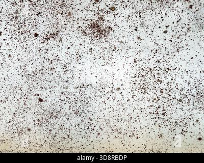 A highly textured light-colored surface is densely covered with scattered small, irregular brown and reddish-brown particles, creating a grunge backgr Stock Photo