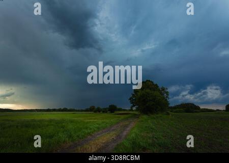 Dark stormy rain clouds over a dirt road in meadows and fields with a tree, May day, eastern Poland Stock Photo