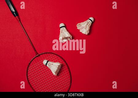 Badminton racket and shuttlecocks arranged on a bold red background Stock Photo