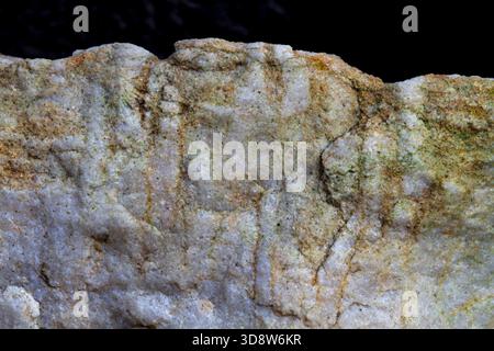Fossile burrows of Skolithos linearis, a wormlike organism, in sandstone, side view Stock Photo