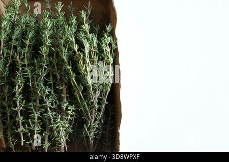 Bunch of fresh thyme (Thymus vulgaris) isolated on a white background. An aromatic plant used in cooking and with medicinal properties. Overhead view. Stock Photo