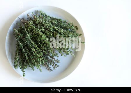 Bunch of fresh thyme (Thymus vulgaris) isolated on a white background. An aromatic plant used in cooking and with medicinal properties. Overhead view. Stock Photo