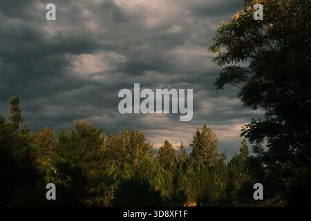 A dramatic sky filled with dark, layered storm clouds looming above a sunlit forest Stock Photo