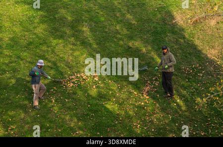 Yerevan Armenia 10.25.2025. Two men are standing in a grassy field, one of them holding a rake. The other man is holding a lawnmower. The scene is pea Stock Photo