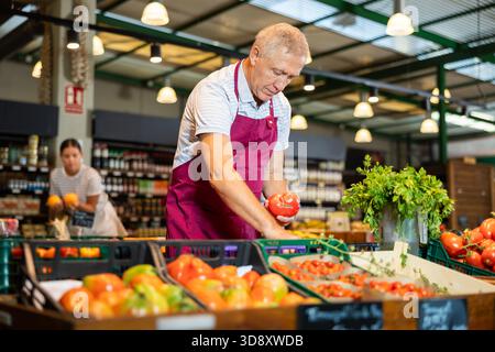 Confident elderly grocery store owner arranging red tomatoes on counter Stock Photo