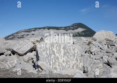 Tens of millions of tonnes of limestone boulders cover the former town of Frank, Alberta after Canada's deadliest rock slide in 1903 Stock Photo