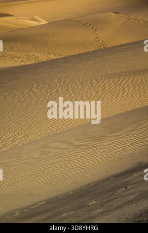 Close up of the stunning sand dunes in the Natural Reserve of Dunes of Maspaloma in Gran Canaria Stock Photo