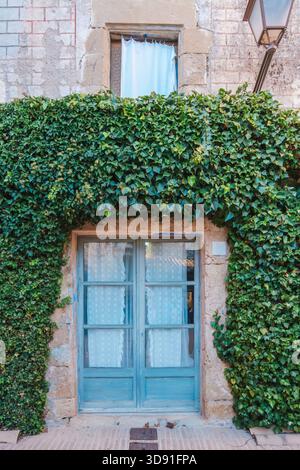 Frontal view of a house facade with a light blue wooden door covered by a large mass of lush green ivy on a textured stone wall Stock Photo