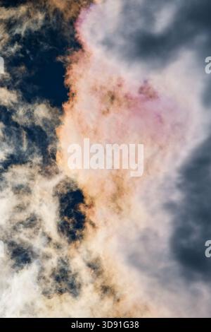 A dramatic vertical capture of high-altitude clouds displaying a vivid iridescence, with hues of pink, orange, and pale yellow contrasting sharply aga Stock Photo