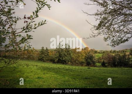 Scenic Irish countryside with full rainbow, green pastures, mixed woodland, soft light, and expansive copy space. Stock Photo