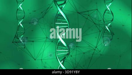 Floating central metallic DNA helix in 3D render, with two blurred helices, node network and labels Stock Photo