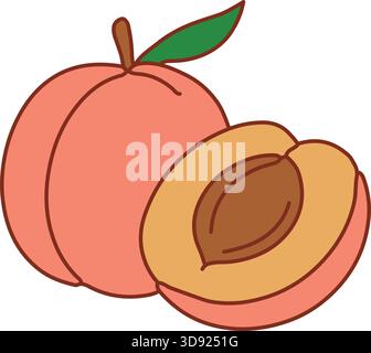 A ripe peach displayed with one half cut open revealing the seed and soft golden flesh. Stock Vector