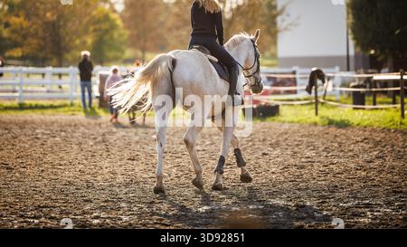 Horse training dressage in paddock. Unrecognizable young woman riding on white horse. Animal themes Stock Photo