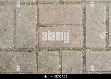 Detailed shot of rectangular paving stones in varying shades of gray and beige, featuring lichen spots and fine sand in the seams. Stock Photo