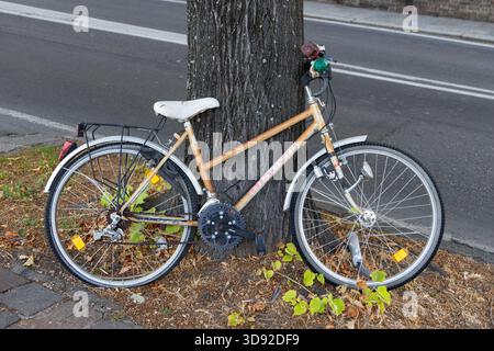 Old vintage bicycle with worn metal frame and white saddle leaning against tree on quiet urban roadside scene. Stock Photo