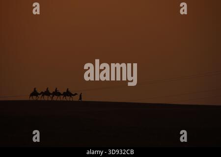 In the vastness of the dark desert, the sun gives the camels and their companions light for the journey. Stock Photo