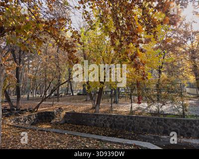 A park with trees and a stone wall. The leaves are yellow and falling Stock Photo