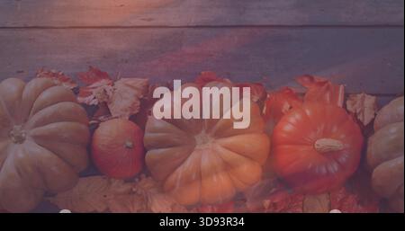 Displaying ribbed pumpkin cluster and mini gourd resting on wood bench, with dry leaves, stems Stock Photo