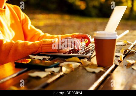 Female hands typing on laptop outdoors in warm autumn daylight. Online business. Stock Photo
