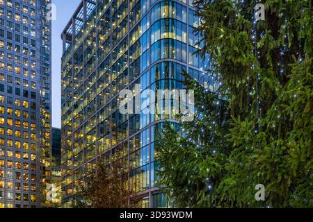 Christmas in the city urban concept with a decorated tree in front of blurred office skyscrapers Stock Photo