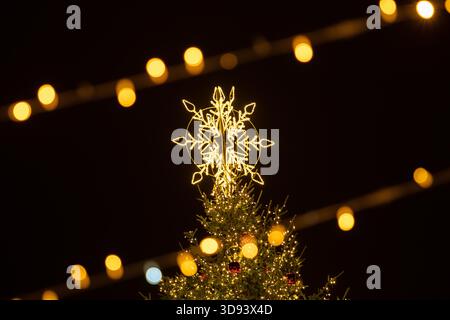 A large outdoor Christmas tree in Vilnius, decorated with warm white lights and ornaments, topped with a glowing star, standing in a festive setting Stock Photo