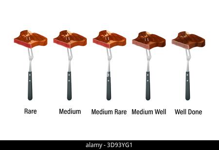 Steak doneness chart displaying different cooking levels Stock Vector