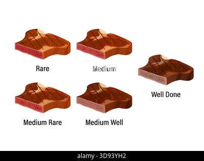 Beef steak doneness cooking guide infographic chart Stock Vector