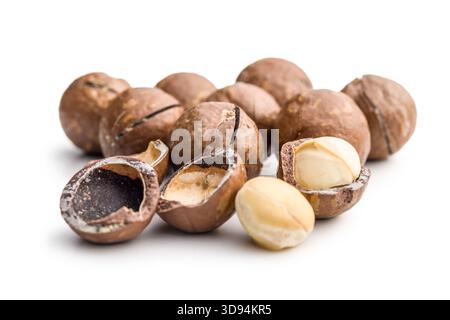 Tasty macadamia nuts isolated on a white background. Stock Photo