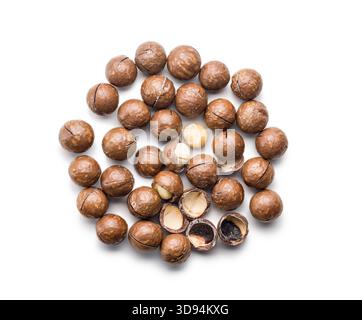 Tasty macadamia nuts isolated on a white background. Stock Photo
