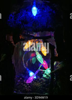 Colorful LED Christmas Lights Hanging Inside a Dark, Moss-Lined Enclosure - mystery, hope, discovery, and the festive season in an unusual setting Stock Photo