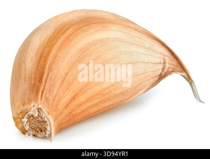 Garlic cloves isolated on white background. Garlic clipping path. Studio macro shooting Stock Photo