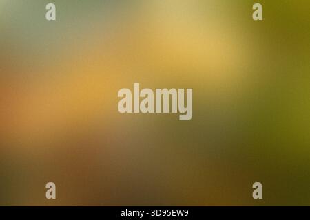 warm soft gradient background with subtle grain texture Stock Photo