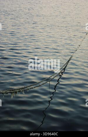 Quiet mystery on the water. A mooring line disappears into the calm, muted sea, creating a lonely and melancholic texture against the surface. Stock Photo