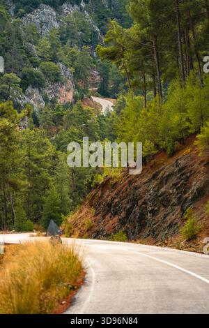 Aerial view of a winding S-shaped road cutting through lush green hills ...