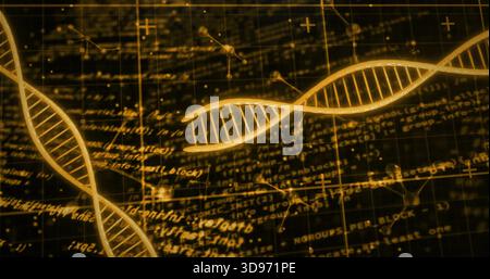 Floating golden DNA double helix centering in digital interface, with formulas and grid Stock Photo