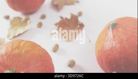 Displaying two small orange pumpkins sitting on pale white tabletop, with dried leaves and seeds Stock Photo