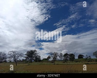 “Some skies don’t need filters — just clouds floating through a perfect blue canvas.” Stock Photo