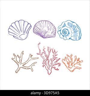 Underwater corals and seashells hand painted line sketch. Vector illustration  Stock Vector